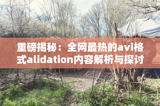重磅揭秘：全网最热的avi格式alidation内容解析与探讨