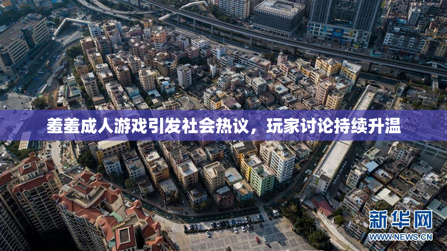 羞羞成人游戏引发社会热议，玩家讨论持续升温