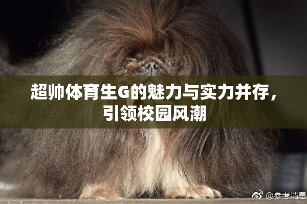 超帅体育生G的魅力与实力并存，引领校园风潮