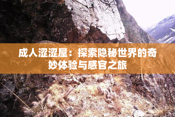 成人涩涩屋：探索隐秘世界的奇妙体验与感官之旅