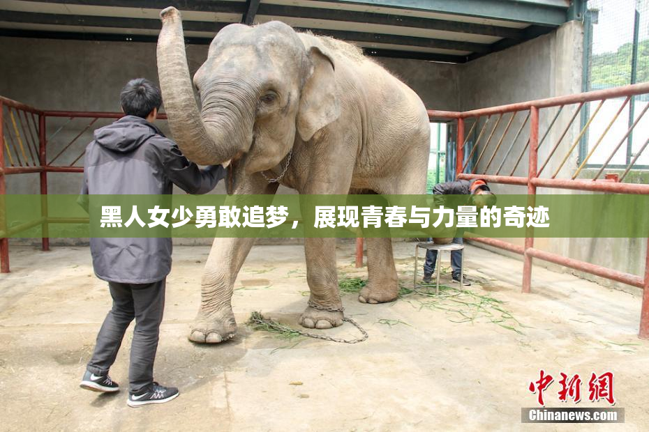 黑人女少勇敢追梦，展现青春与力量的奇迹