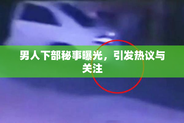 男人下部秘事曝光，引发热议与关注