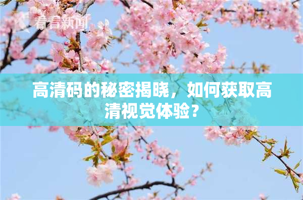 高清码的秘密揭晓，如何获取高清视觉体验？
