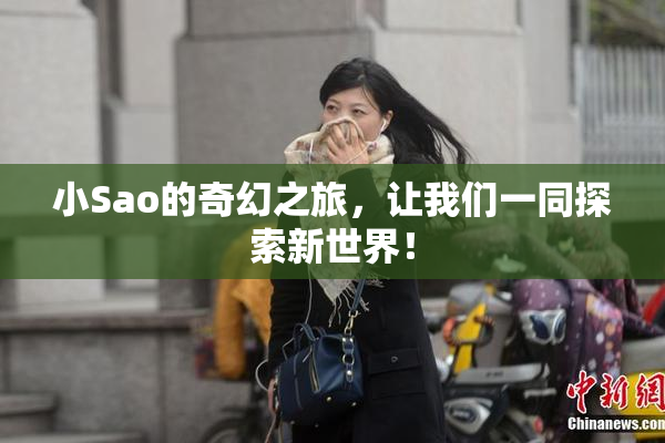小Sao的奇幻之旅，让我们一同探索新世界！