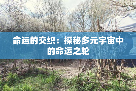 命运的交织：探秘多元宇宙中的命运之轮