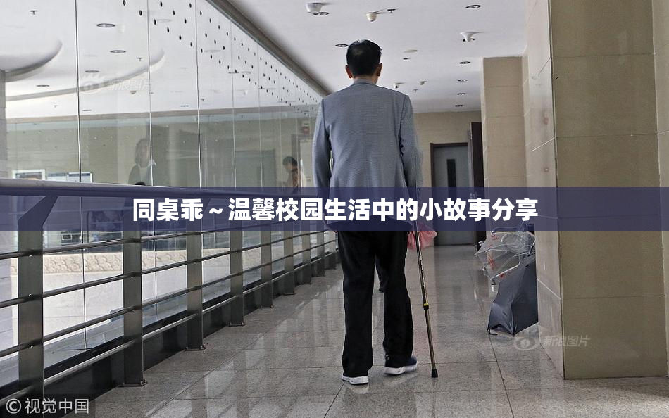 同桌乖～温馨校园生活中的小故事分享