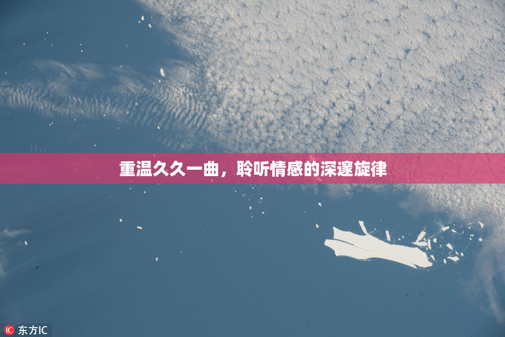 重温久久一曲，聆听情感的深邃旋律
