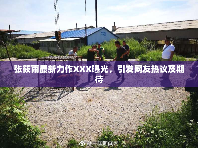张筱雨最新力作XXX曝光，引发网友热议及期待