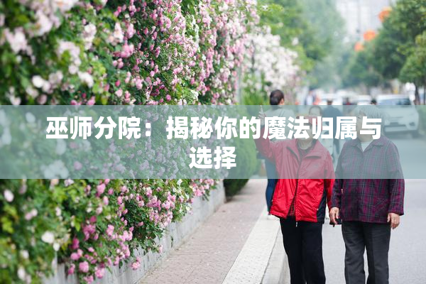 巫师分院：揭秘你的魔法归属与选择