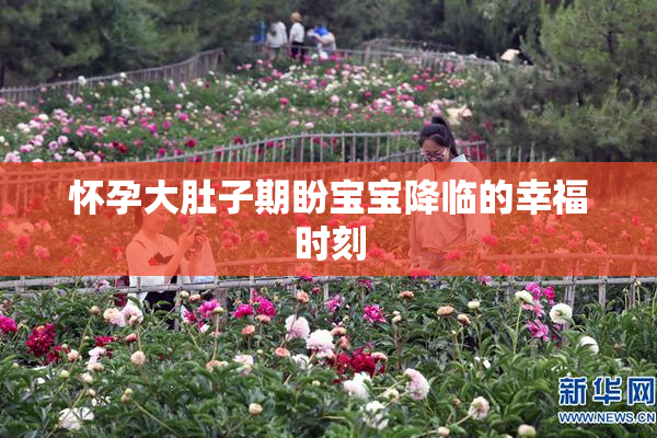 怀孕大肚子期盼宝宝降临的幸福时刻