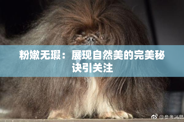 粉嫩无瑕：展现自然美的完美秘诀引关注