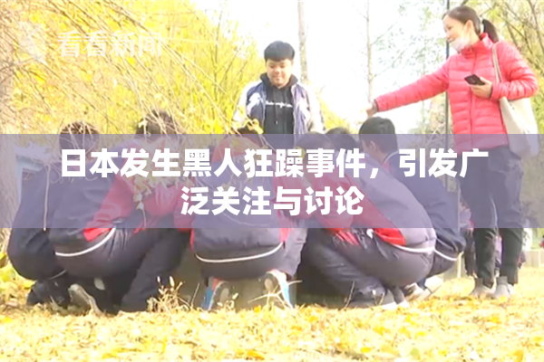 日本发生黑人狂躁事件，引发广泛关注与讨论
