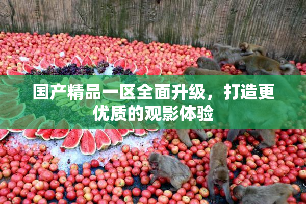 国产精品一区全面升级，打造更优质的观影体验