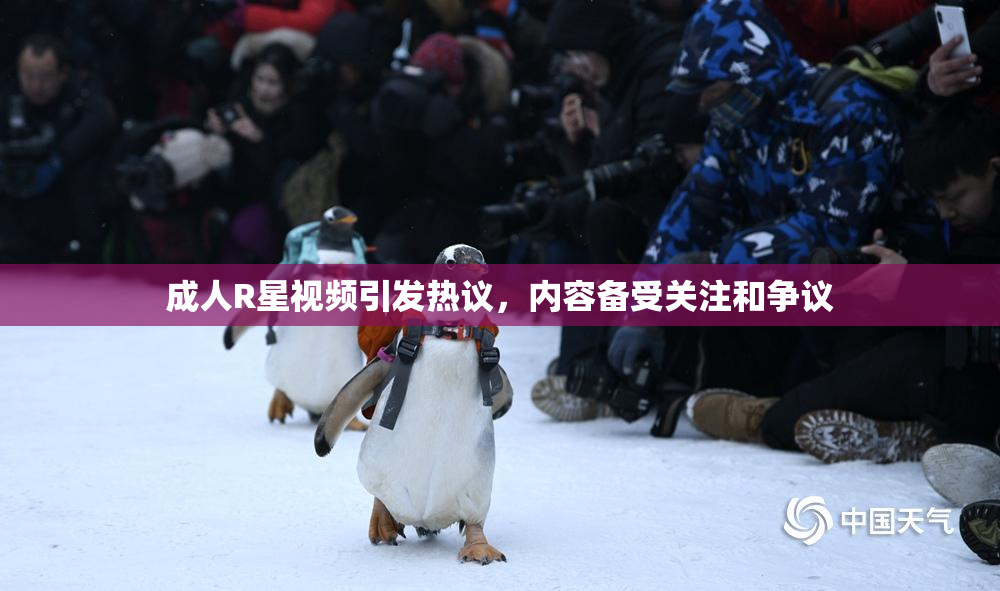 成人R星视频引发热议，内容备受关注和争议