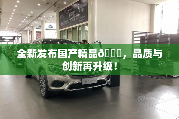 全新发布国产精品🈚，品质与创新再升级！