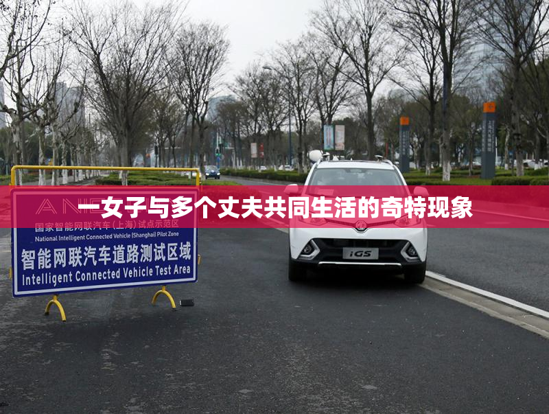 一女子与多个丈夫共同生活的奇特现象