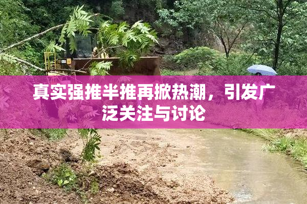 真实强推半推再掀热潮，引发广泛关注与讨论