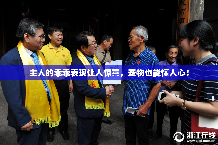 主人的乖乖表现让人惊喜，宠物也能懂人心！