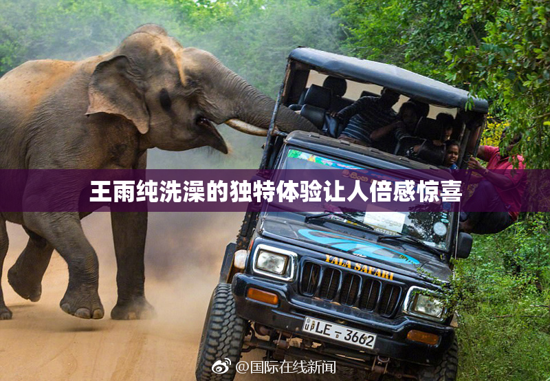 王雨纯洗澡的独特体验让人倍感惊喜