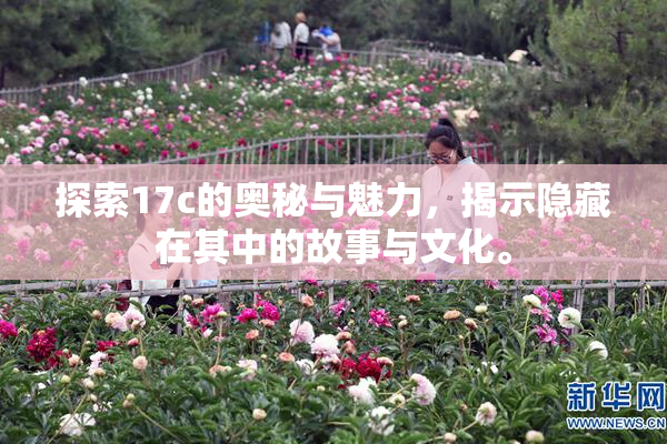 探索17c的奥秘与魅力，揭示隐藏在其中的故事与文化。