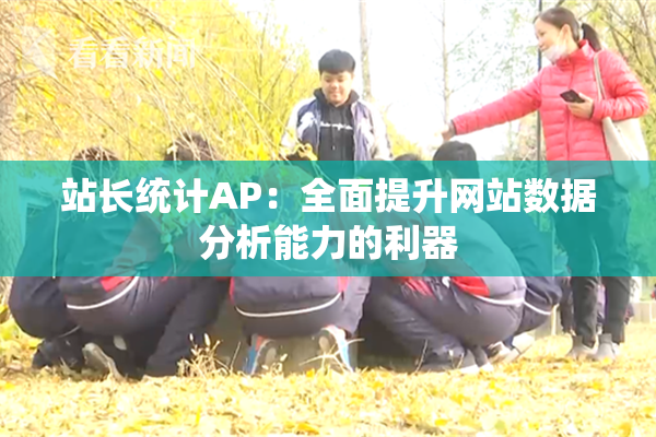 站长统计AP：全面提升网站数据分析能力的利器