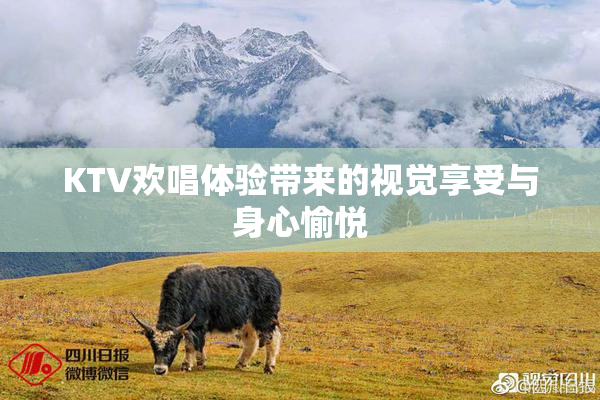 KTV欢唱体验带来的视觉享受与身心愉悦