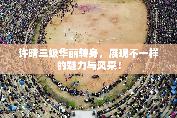 许晴三级华丽转身，展现不一样的魅力与风采！