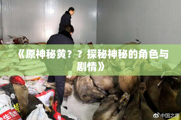 《原神秘黄？？探秘神秘的角色与剧情》