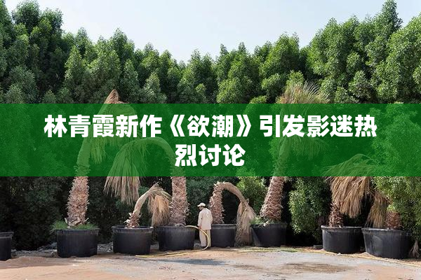 林青霞新作《欲潮》引发影迷热烈讨论