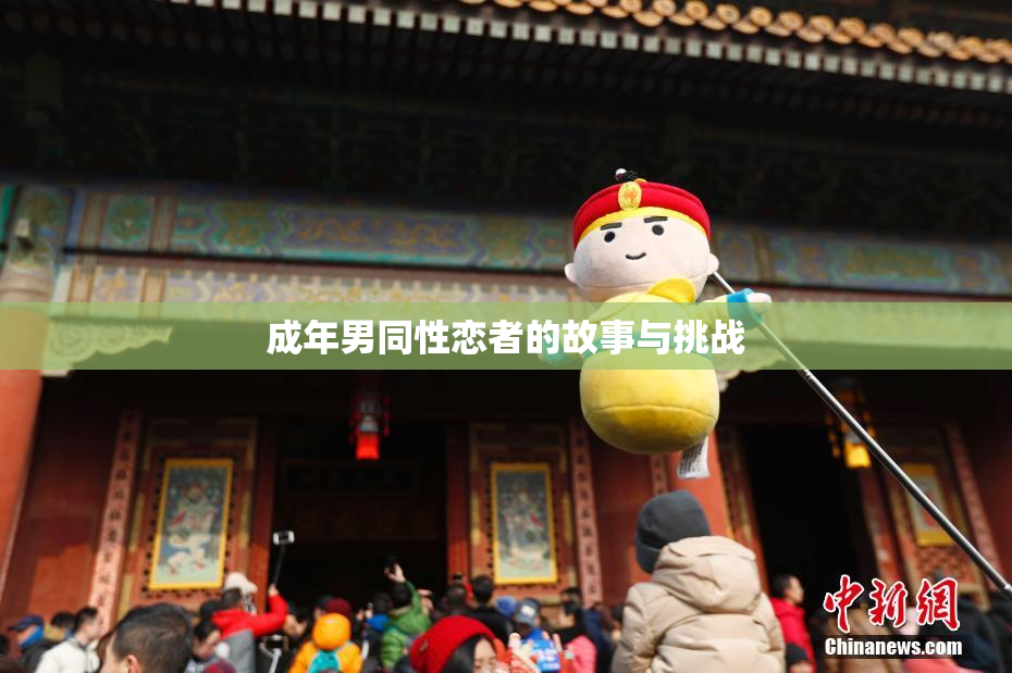 成年男同性恋者的故事与挑战