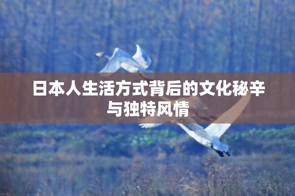 日本人生活方式背后的文化秘辛与独特风情