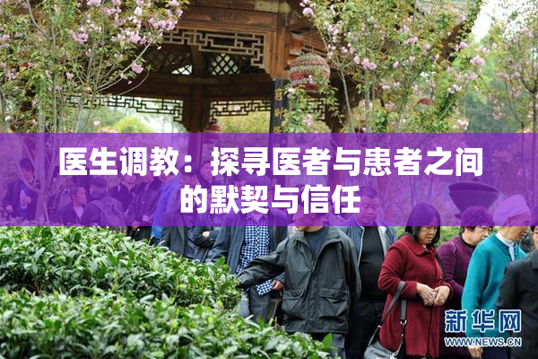 医生调教：探寻医者与患者之间的默契与信任