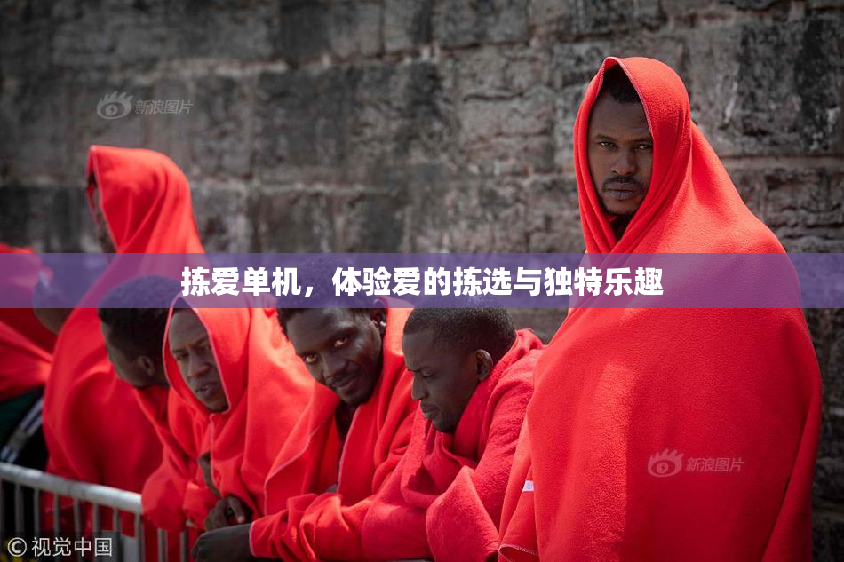 拣爱单机，体验爱的拣选与独特乐趣