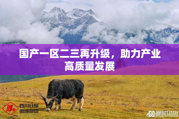 国产一区二三再升级，助力产业高质量发展