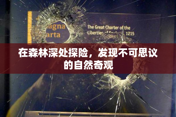 在森林深处探险，发现不可思议的自然奇观