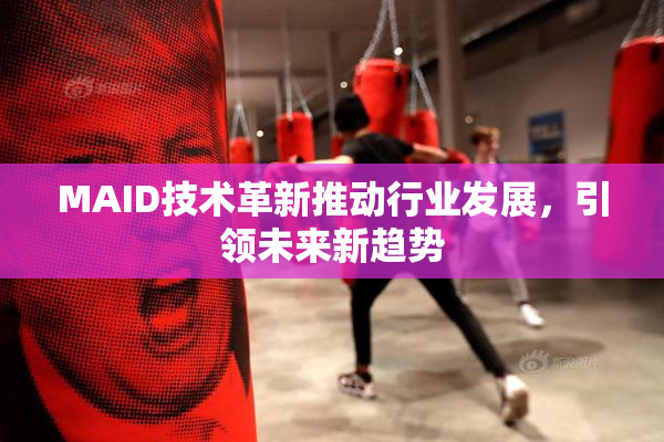 MAID技术革新推动行业发展，引领未来新趋势
