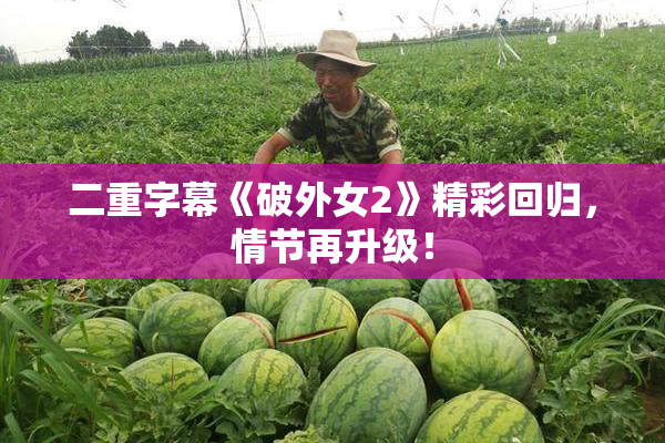 二重字幕《破外女2》精彩回归，情节再升级！