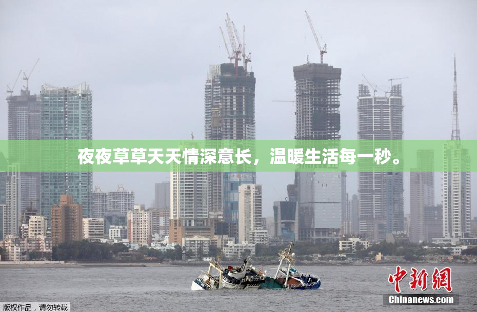 夜夜草草天天情深意长，温暖生活每一秒。