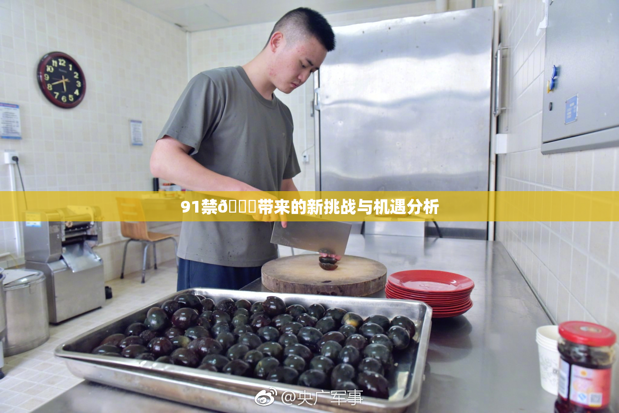 91禁🍆带来的新挑战与机遇分析