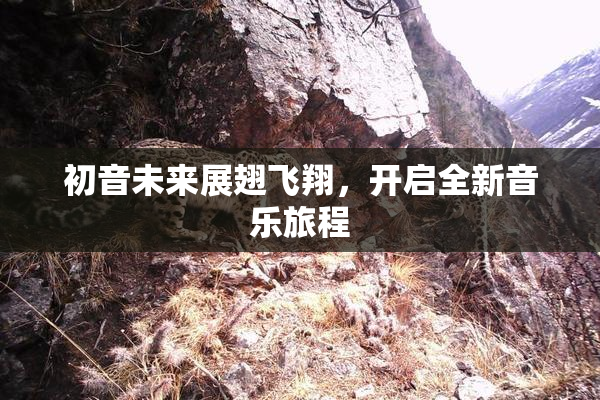 初音未来展翅飞翔，开启全新音乐旅程