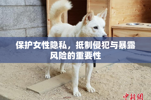 保护女性隐私，抵制侵犯与暴露风险的重要性