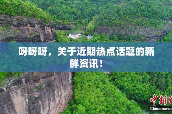 呀呀呀，关于近期热点话题的新鲜资讯！