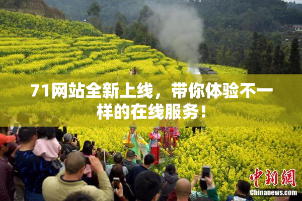 71网站全新上线，带你体验不一样的在线服务！