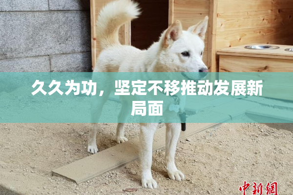 久久为功，坚定不移推动发展新局面