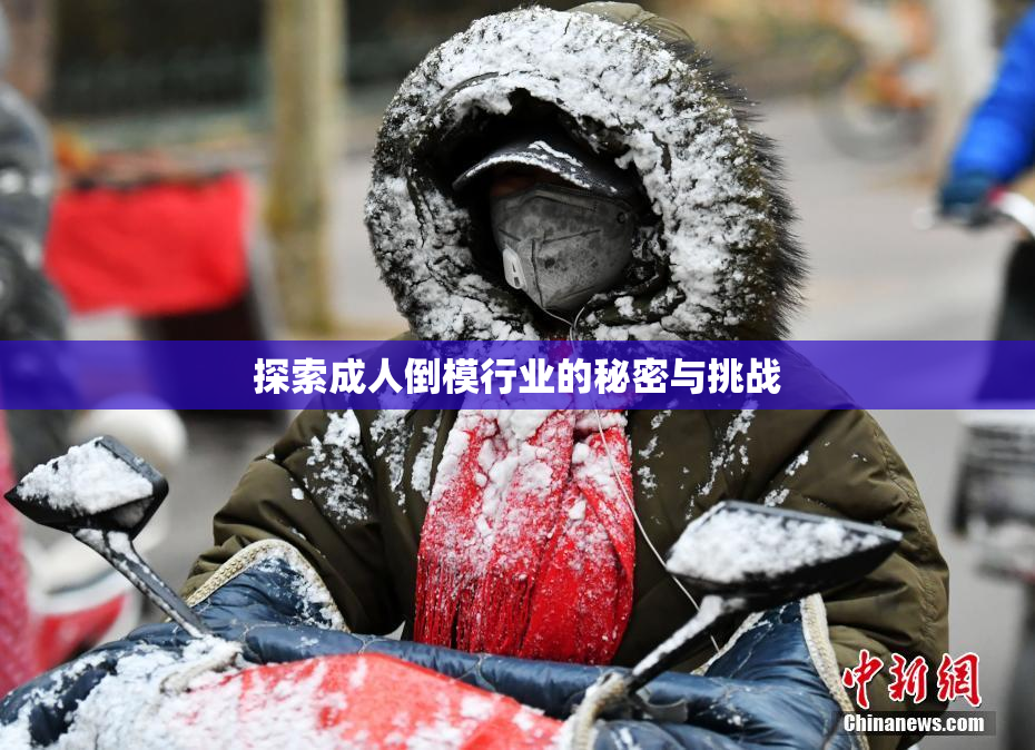 探索成人倒模行业的秘密与挑战