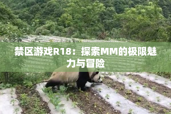 禁区游戏R18：探索MM的极限魅力与冒险