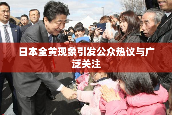 日本全黄现象引发公众热议与广泛关注