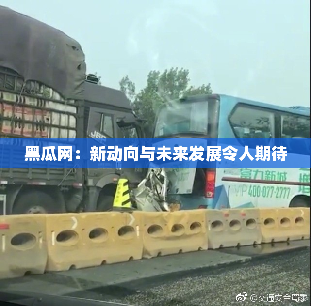 黑瓜网：新动向与未来发展令人期待