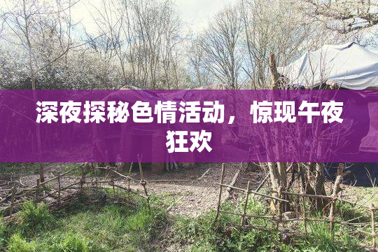 深夜探秘色情活动，惊现午夜狂欢