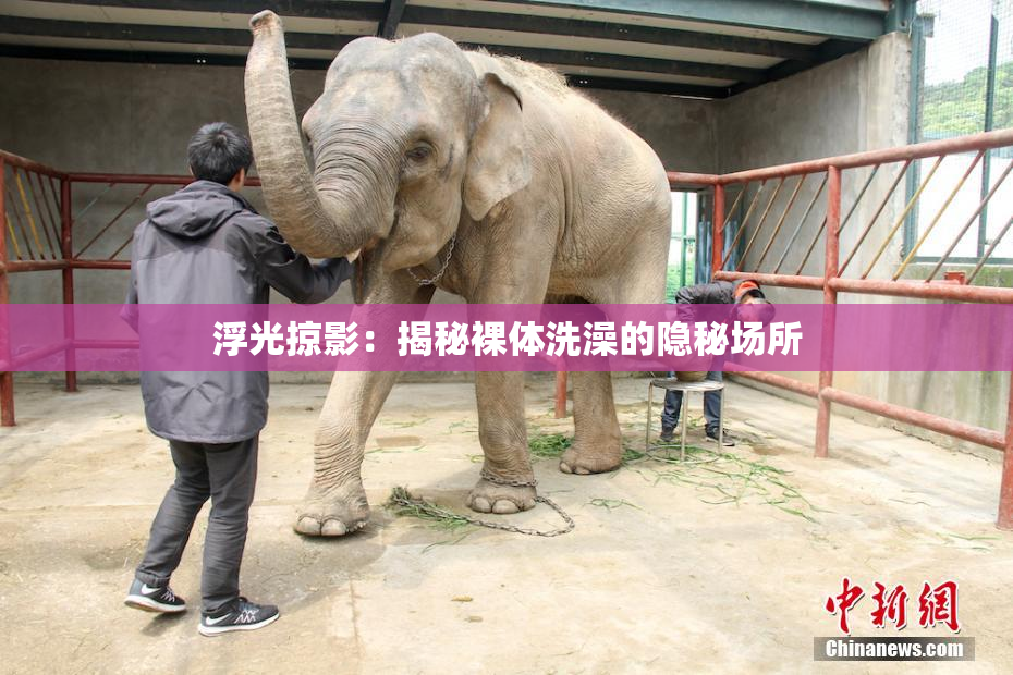 浮光掠影：揭秘裸体洗澡的隐秘场所